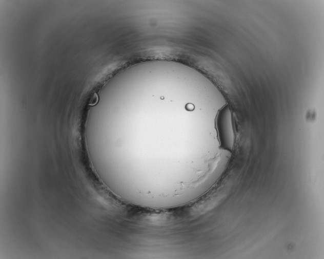 X0000102040306200808011517