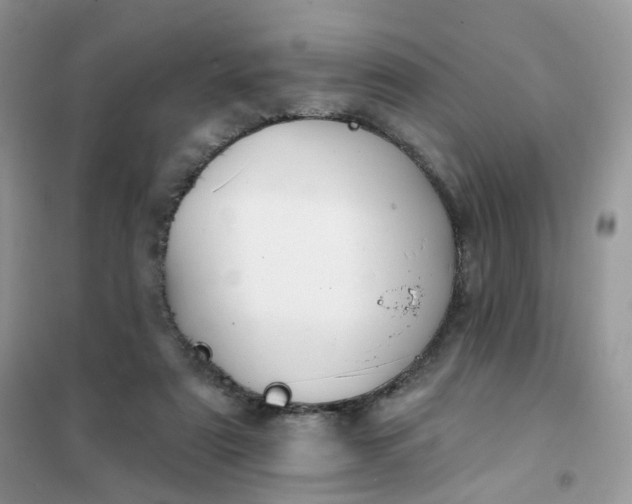 X0000102040307200808011517