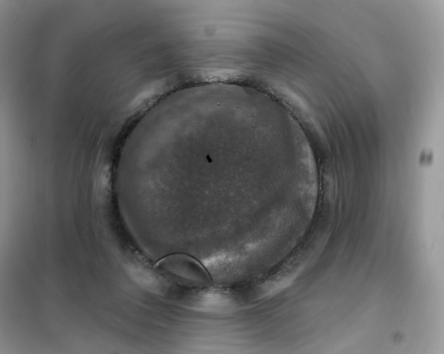 X0000102040308200808011516