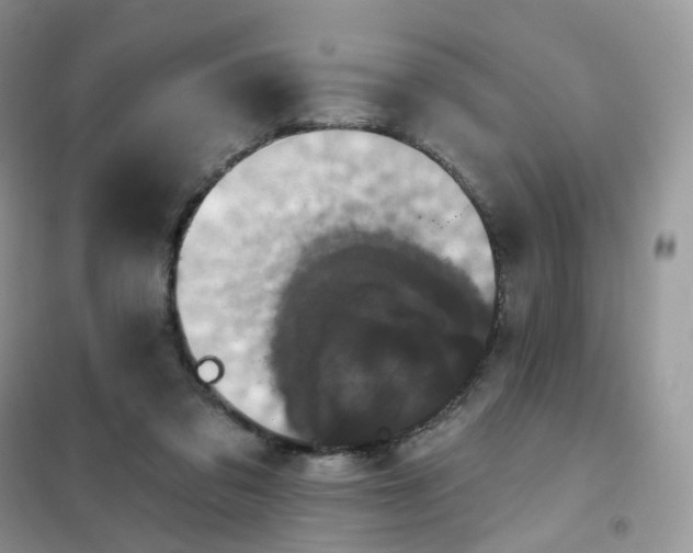 X0000102040309200808011516