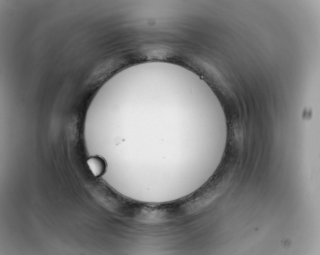 X0000102040311200808011516