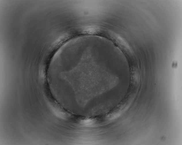 X0000102040312200808011516