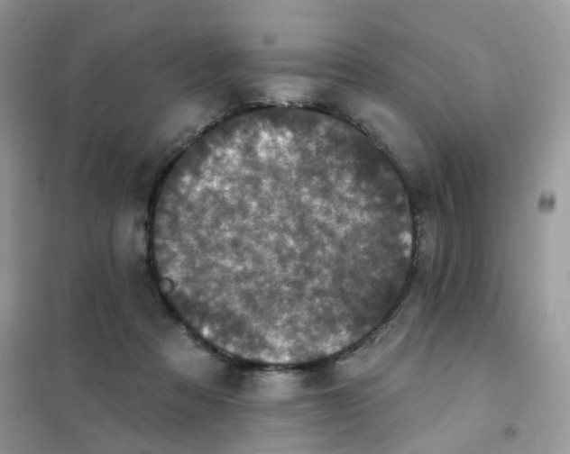 X0000102040313200808011516