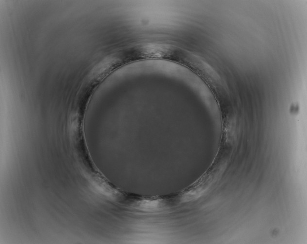 X0000102040314200808011516