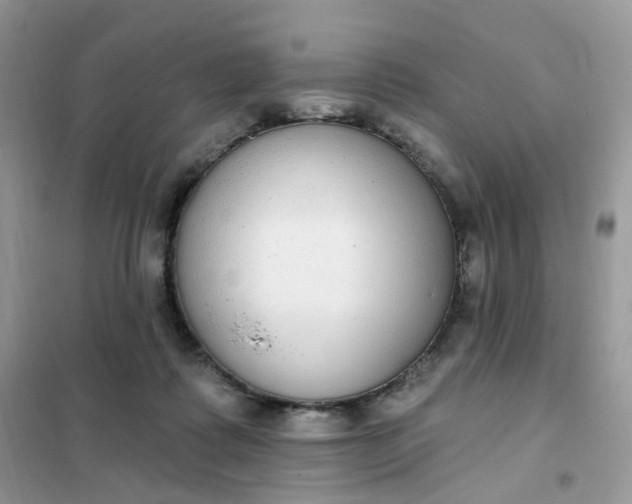 X0000102040315200808011516