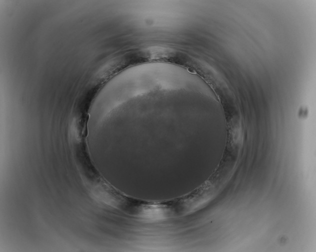 X0000102040316200808011516