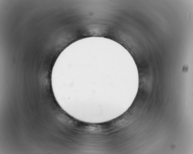 X0000102040317200808011516