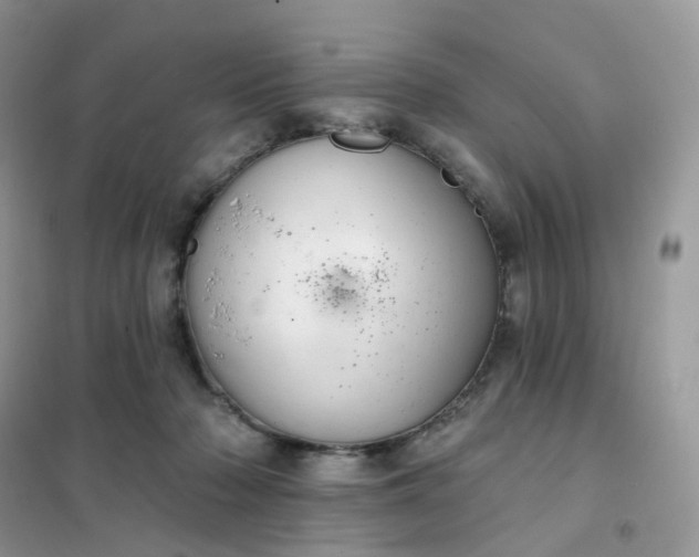 X0000102040318200808011516