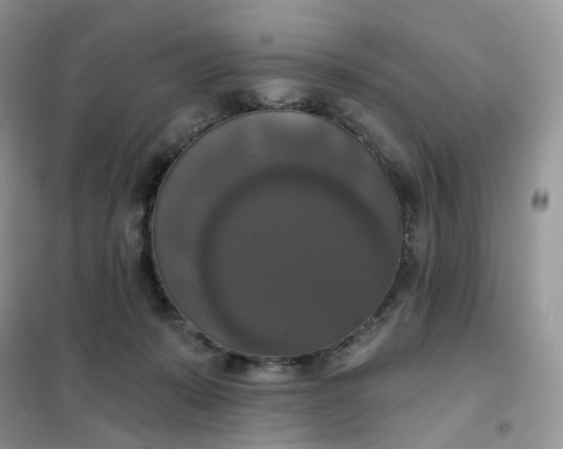 X0000102040319200808011516