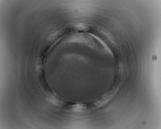 X0000102040320200808011516