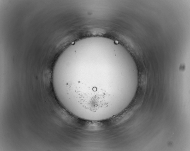 X0000102040321200808011516