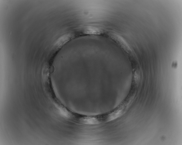 X0000102040322200808011516