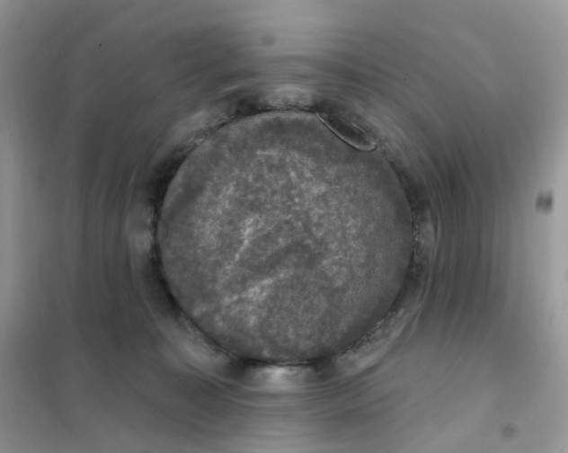 X0000102040323200808011516