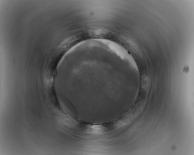 X0000102040324200808011516