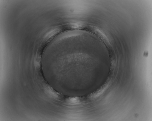 X0000102040325200808011516