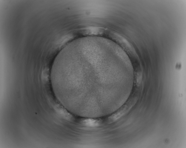 X0000102040326200808011516