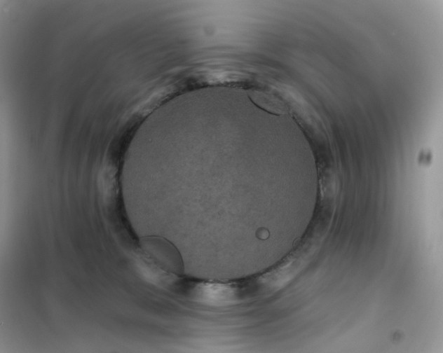 X0000102040327200808011516