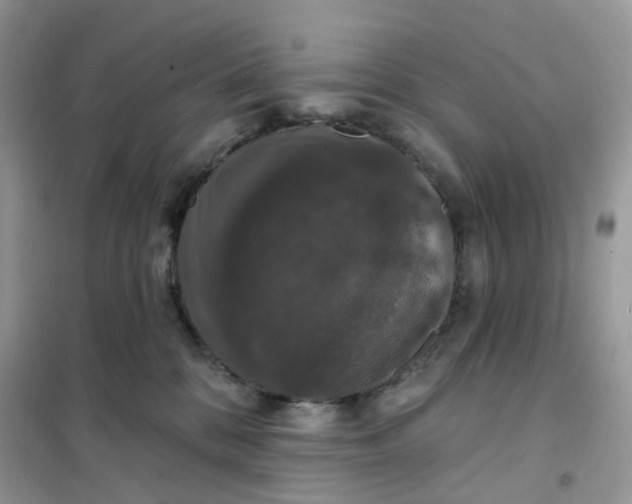 X0000102040328200808011516