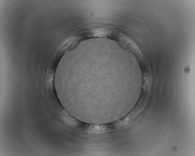 X0000102040329200808011516