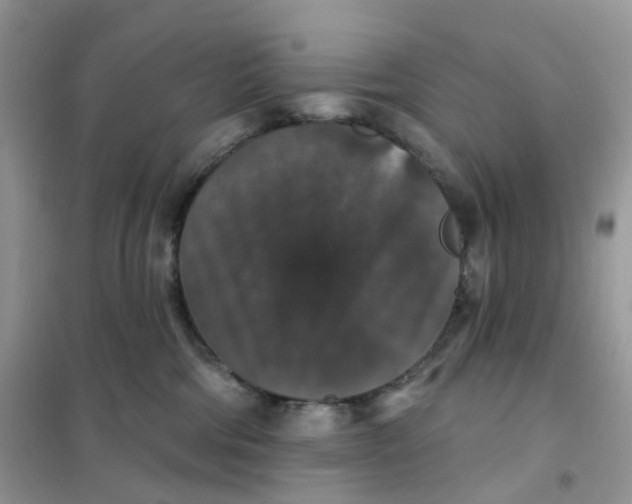 X0000102040330200808011516