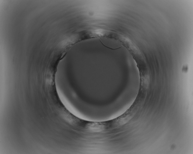 X0000102040331200808011516