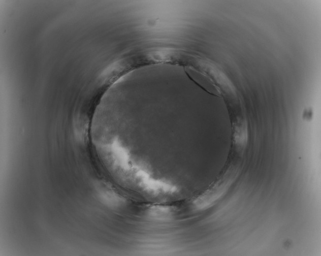 X0000102040332200808011516