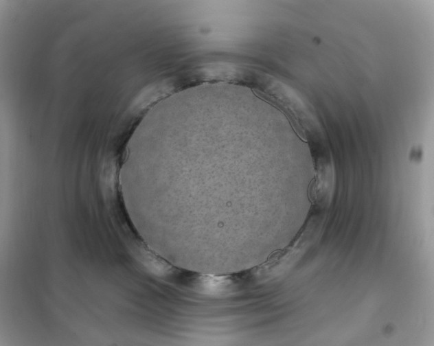 X0000102040333200808011516