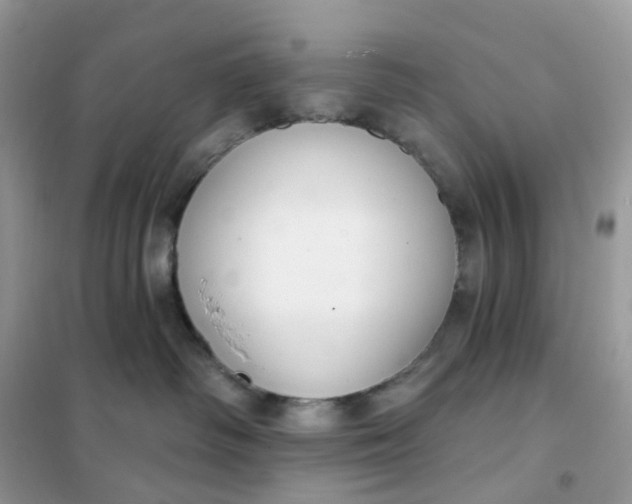 X0000102040334200808011516