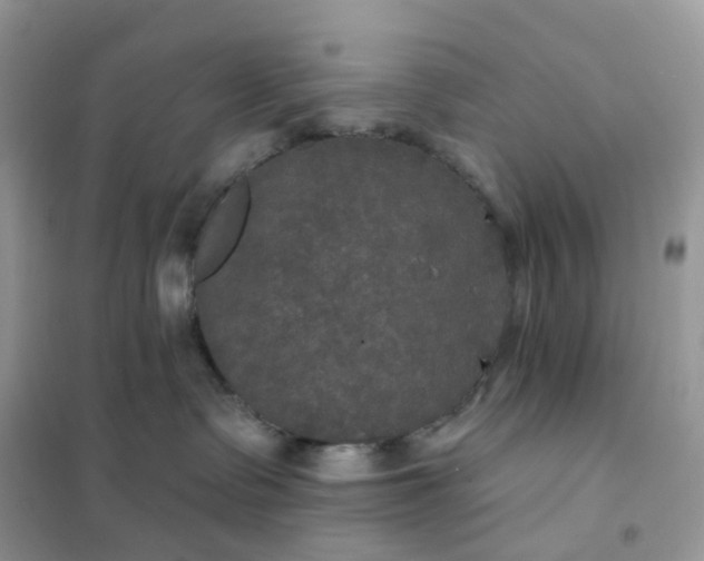 X0000102040335200808011516