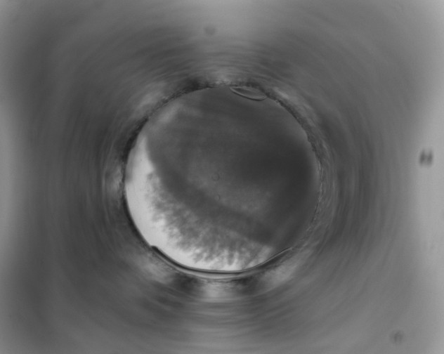 X0000102040336200808011516