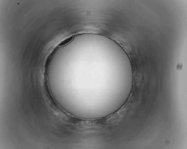 X0000102040338200808011515