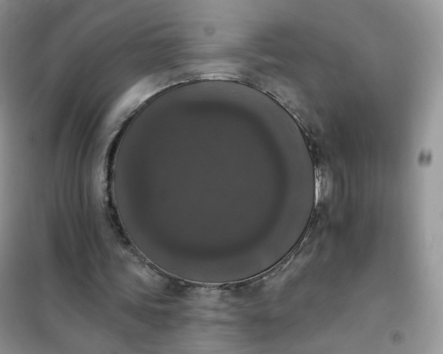 X0000102040339200808011515