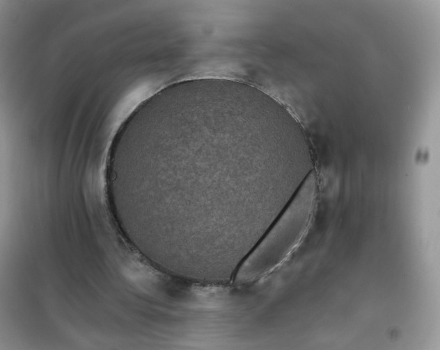 X0000102040340200808011515