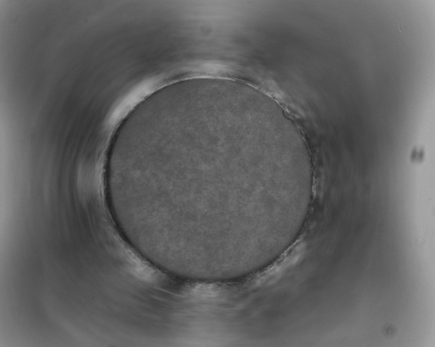 X0000102040341200808011515