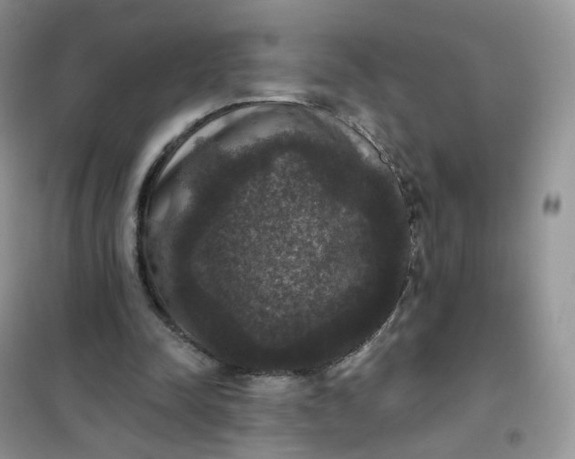 X0000102040342200808011515