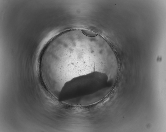 X0000102040343200808011515