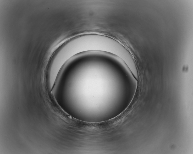 X0000102040344200808011515