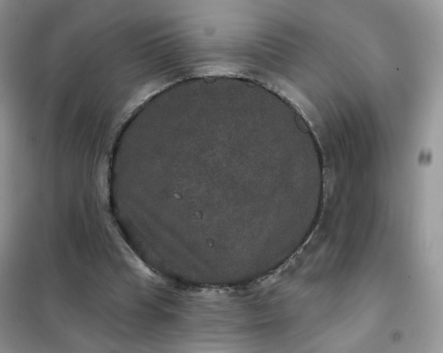 X0000102040345200808011515