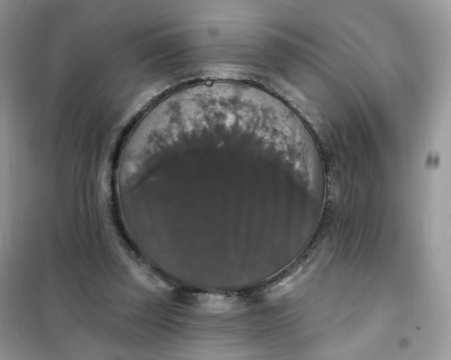 X0000102040347200808011516