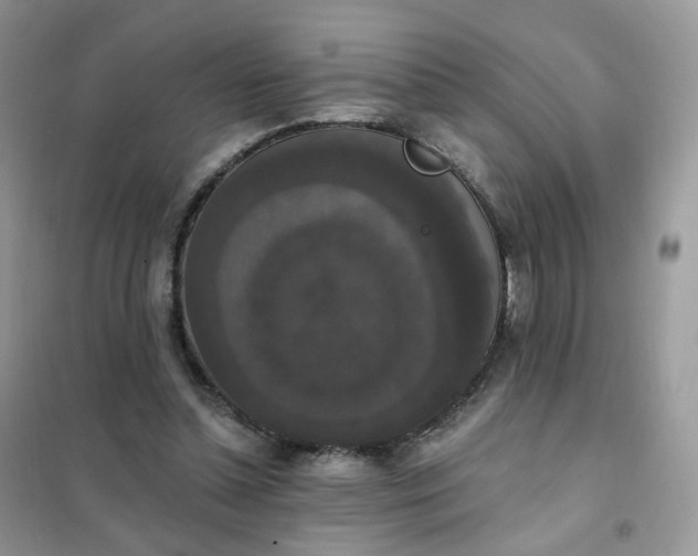 X0000102040348200808011516