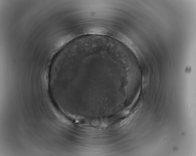 X0000102040349200808011516