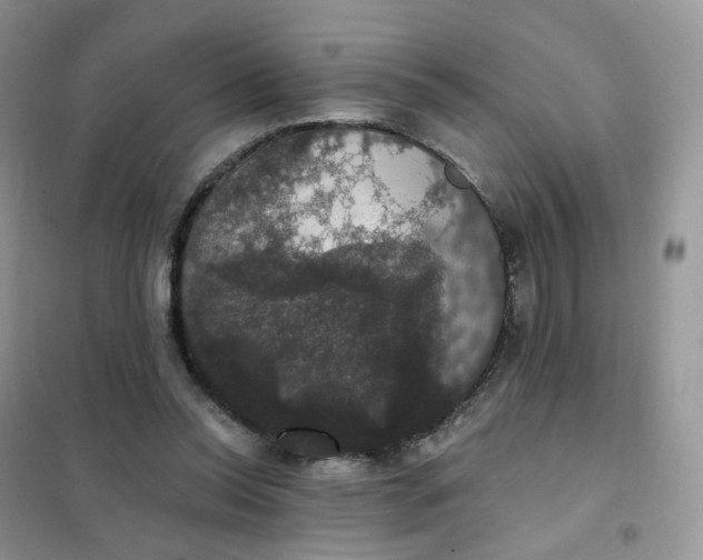 X0000102040350200808011516