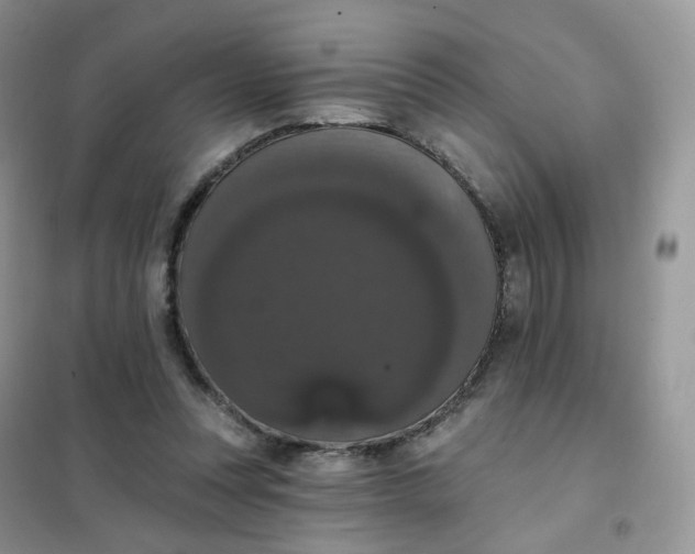 X0000102040351200808011516