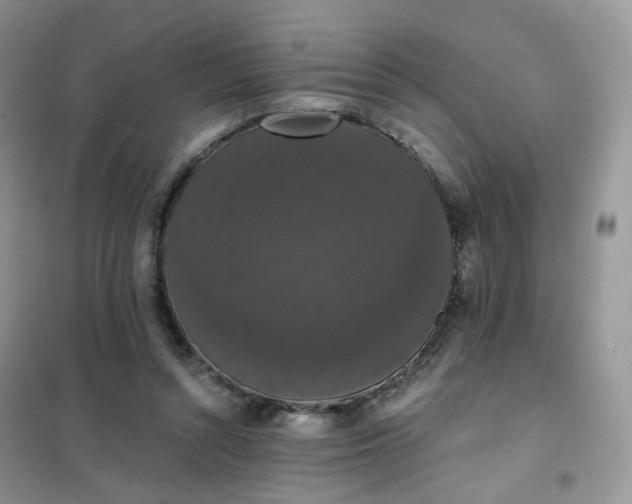 X0000102040352200808011516