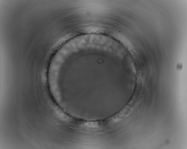 X0000102040353200808011516