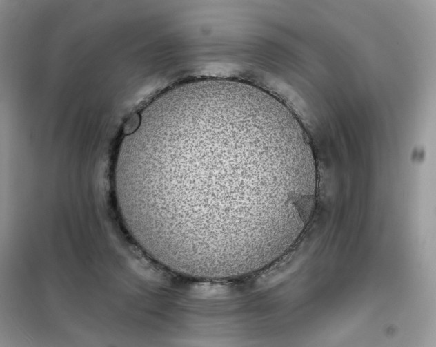 X0000102040354200808011516