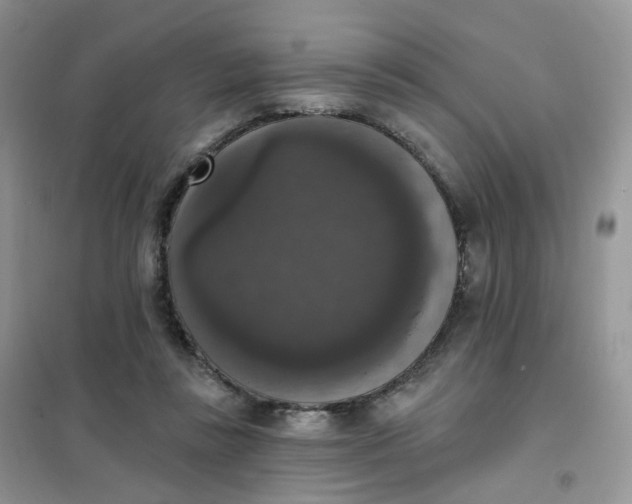 X0000102040355200808011516