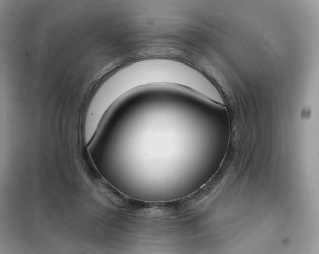 X0000102040356200808011516