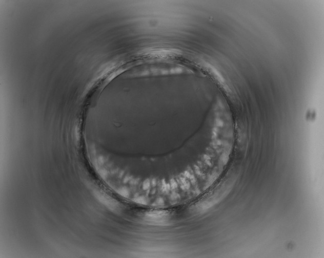 X0000102040357200808011516