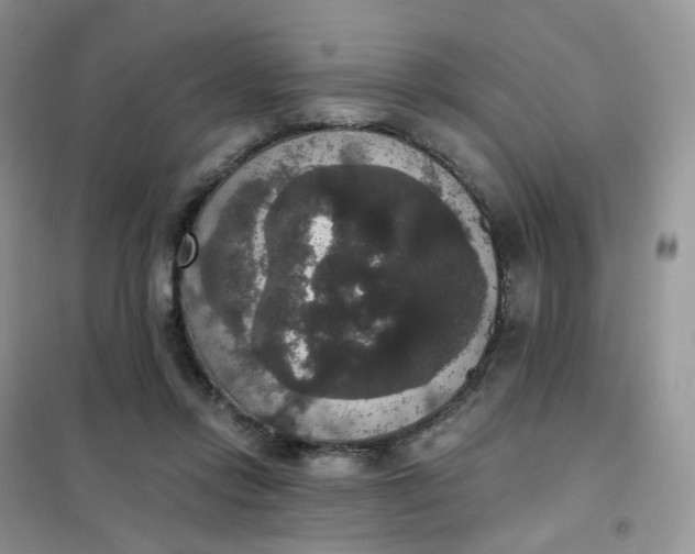 X0000102040358200808011516